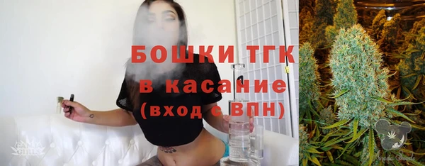 дмт Тобольск
