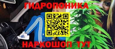 мяу мяу мука Малоярославец
