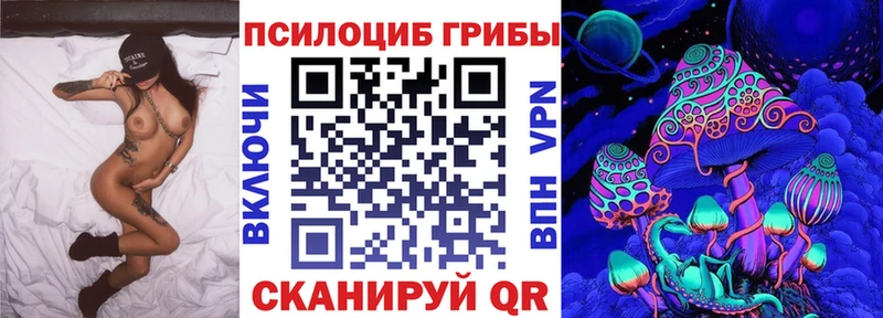 продажа наркотиков  Гурьевск  Псилоцибиновые грибы Psilocybine cubensis 