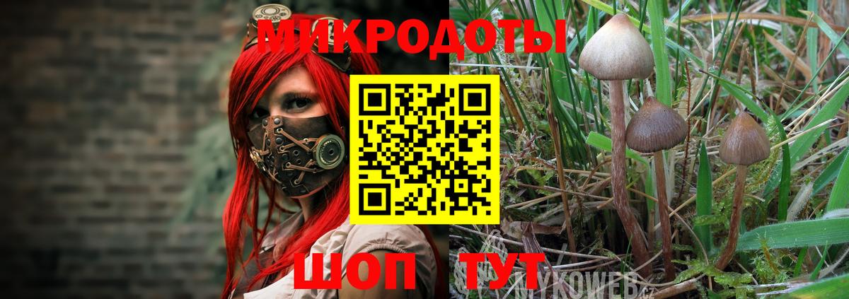 Гурьевск  Псилоцибиновые грибы Psilocybine cubensis  закладки  Вход с VPN  Псилоцибиновые грибы Psilocybine cubensis 