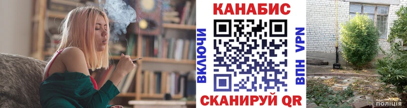 где купить наркотик  Гурьевск  Конопля конопля 